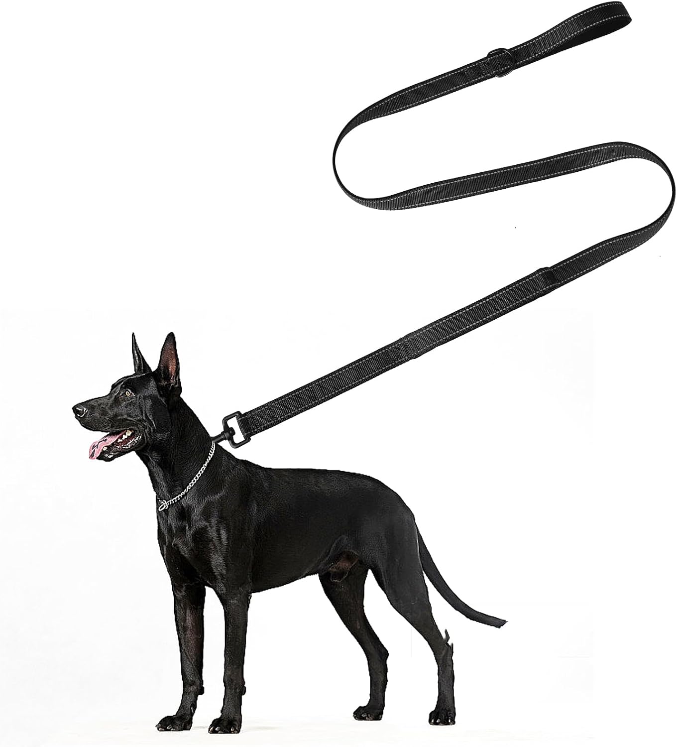 Thumbnail 6 de Reflective Dog Lead 1.5 m — Padded Handle 🐕