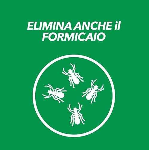 Thumbnail 3 de Baygon Esca Formiche – Confezione da 4 Esche per Interni ed Esterni