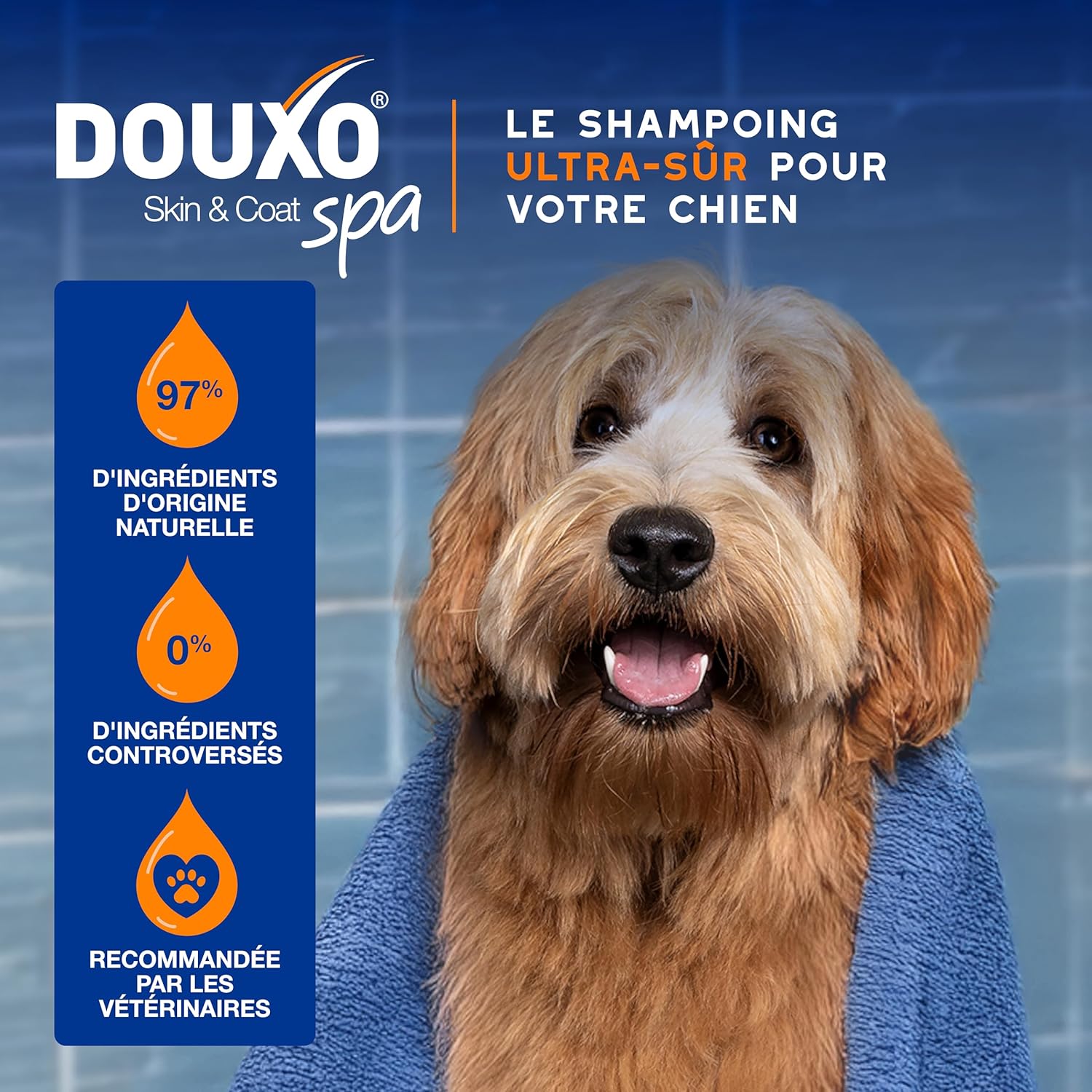 Detalle de DOUXO Skin & Coat Spa – Shampoing 2 en 1 démêlant pour chiens, 250 ML, nettoie et hydrate en profondeur peau et pelage