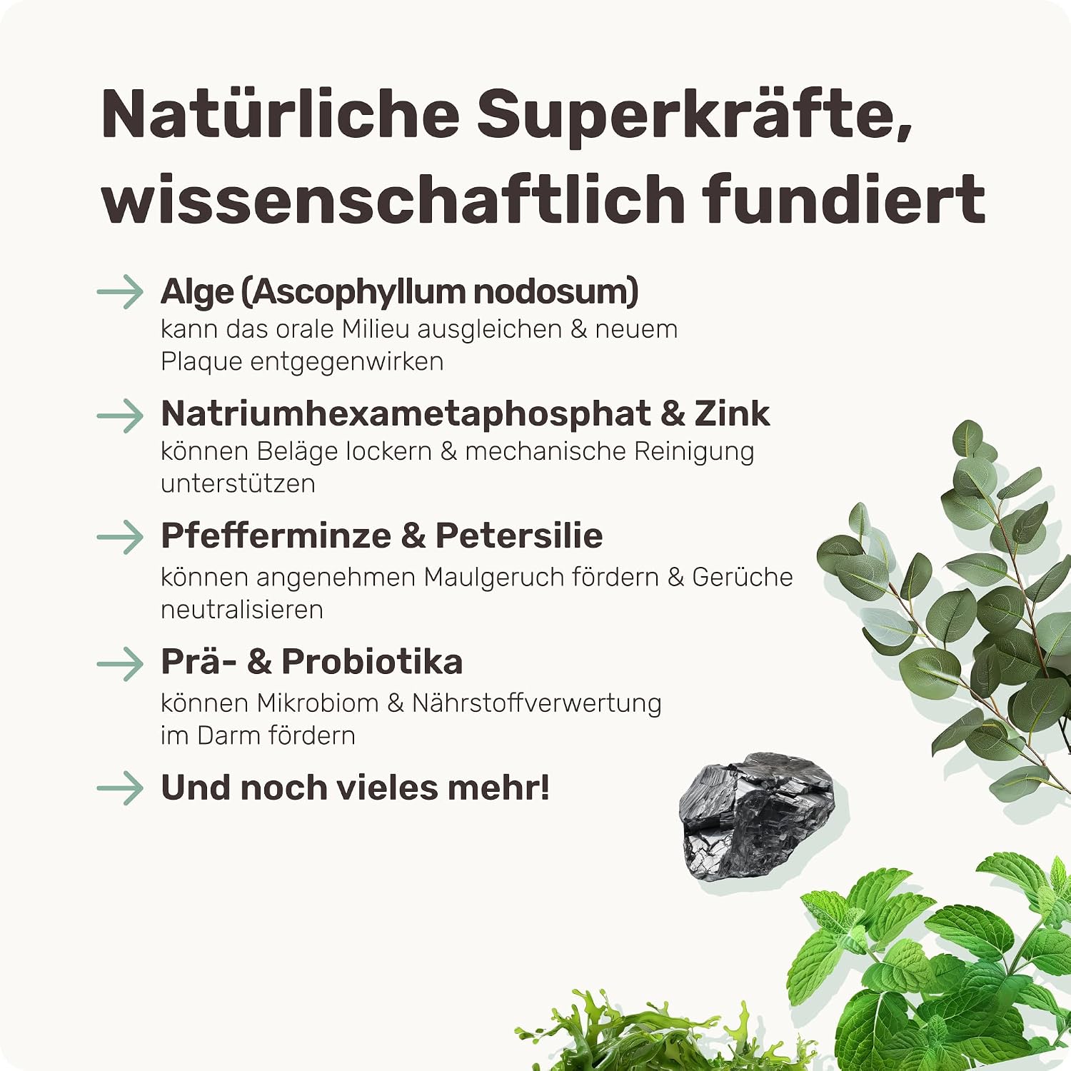 Detalle de 10-in-1 Zahnpflege Leckerli für Hunde – Fresh Smile von mammaly (175 g, 60 Snacks)