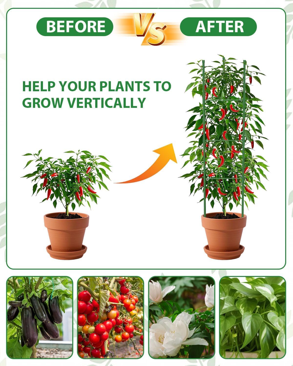 Detalle 2 de MYMULIKE 6Pack Tomato Supports 130cm