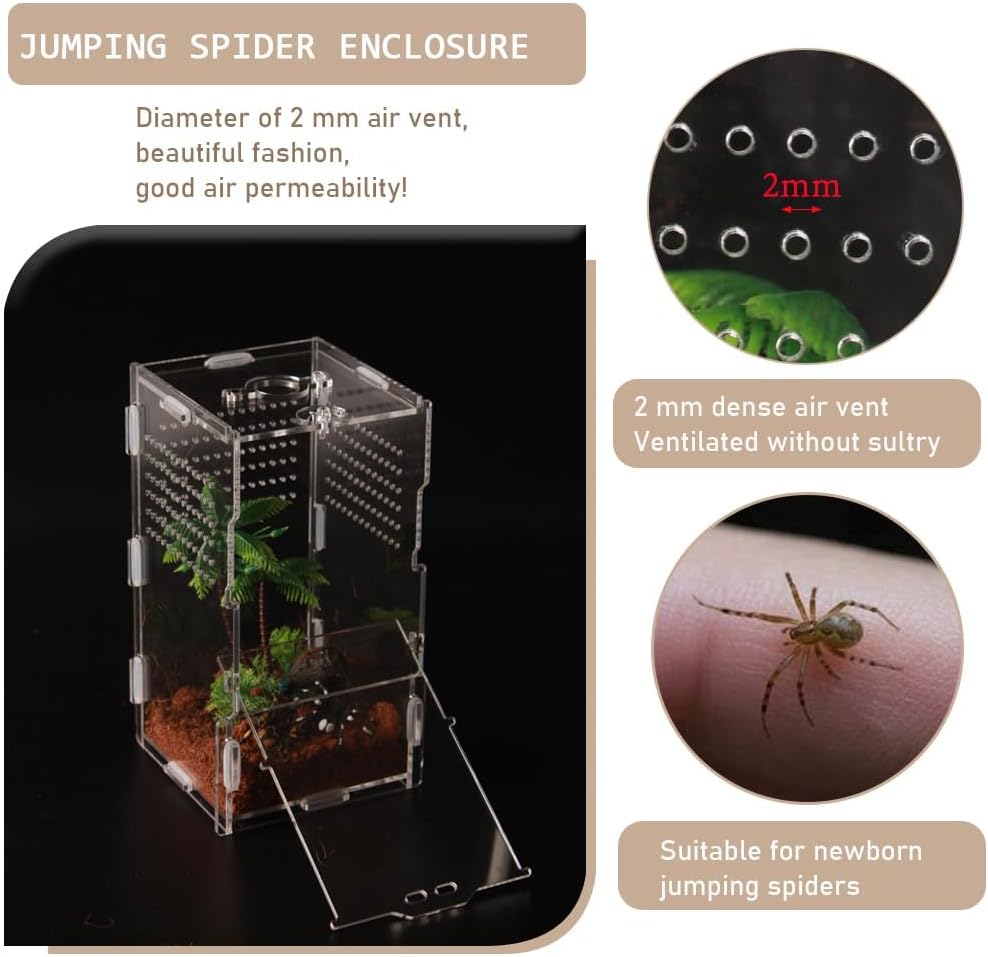 Thumbnail 2 de YUEHUA Acrylic Mini Reptile Transport Box (20 x 10 x 10 cm)