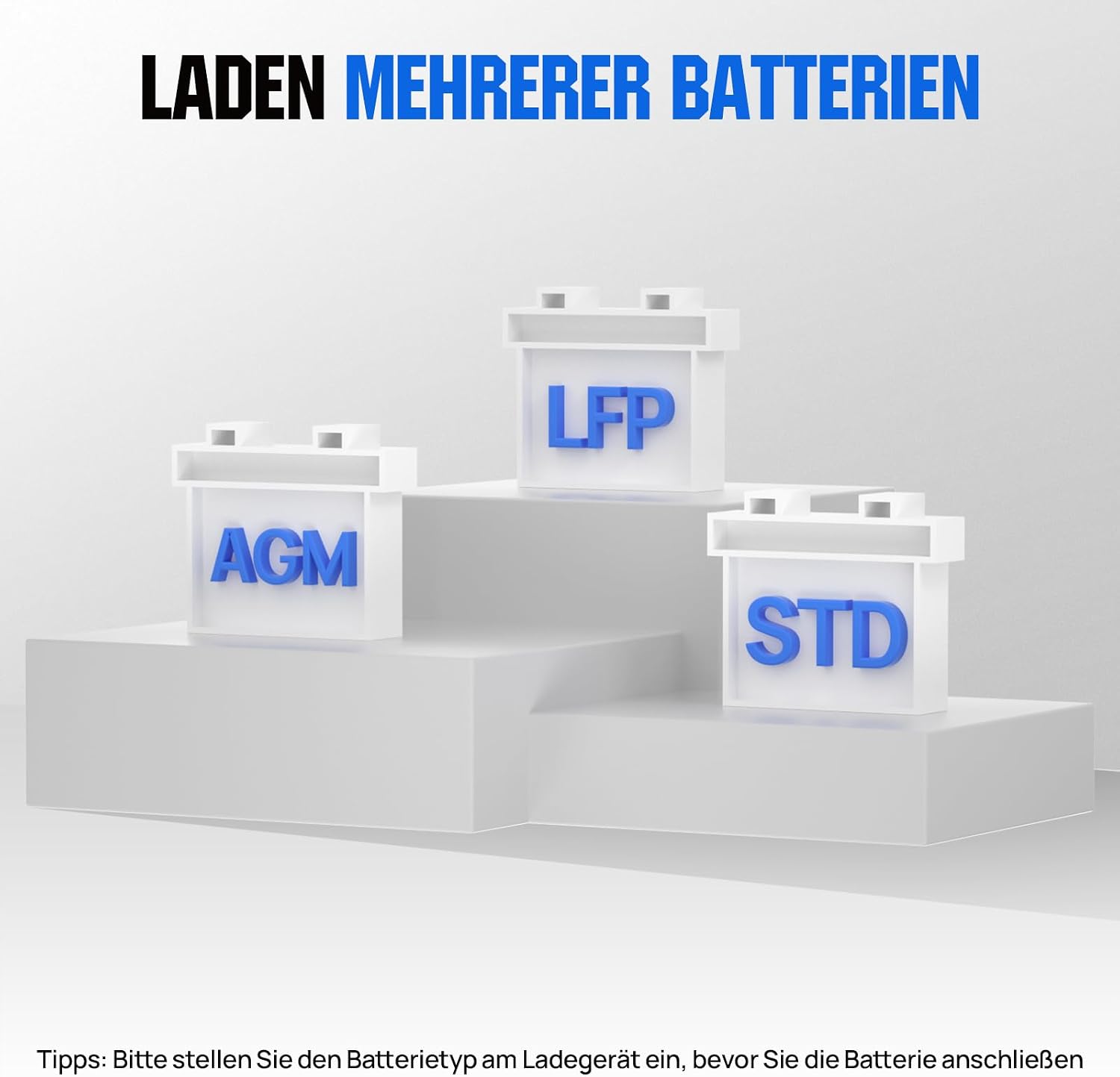 Detalle 2 de ECO-WORTHY 12V/24V 20A LiFePO4 Ladegerät ⚡