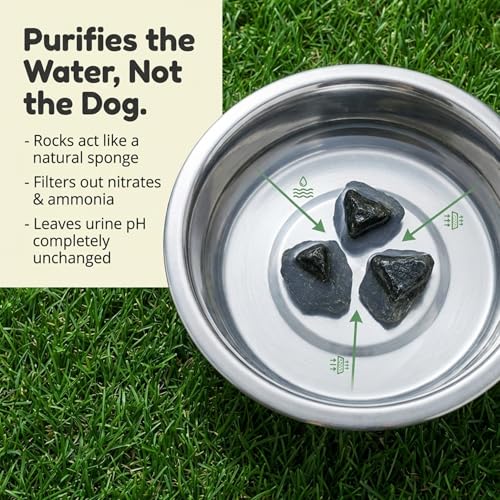 Detalle de Dog Rocks Urine Patch Preventer (200g) – Natural Urine Burn Patch Repair for Lawns