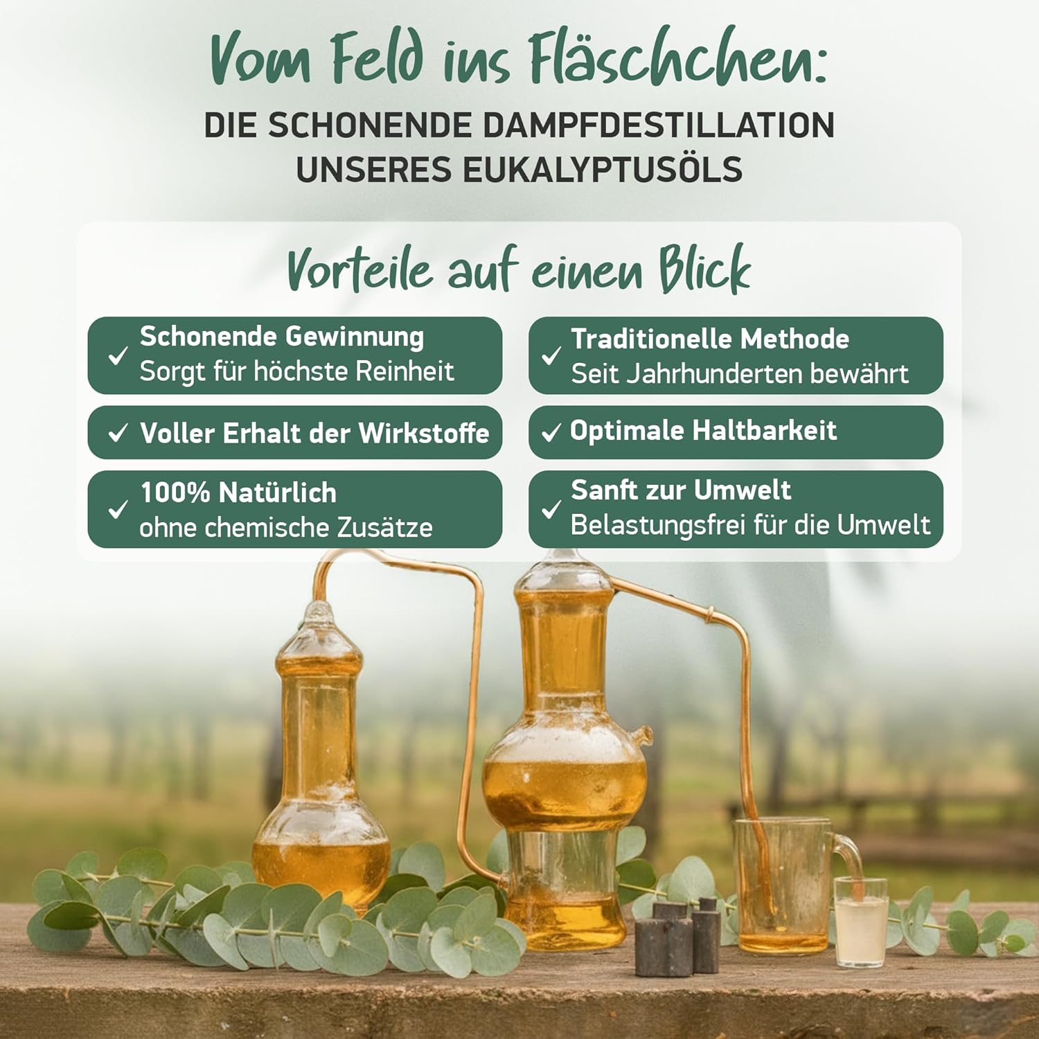 Thumbnail 3 de BIO Eukalyptusöl [BIO-ZERTIFIZIERT] 100% naturrein – vielseitig einsetzbar für Ernährung, Aromatherapie, Inhalation und Sauna