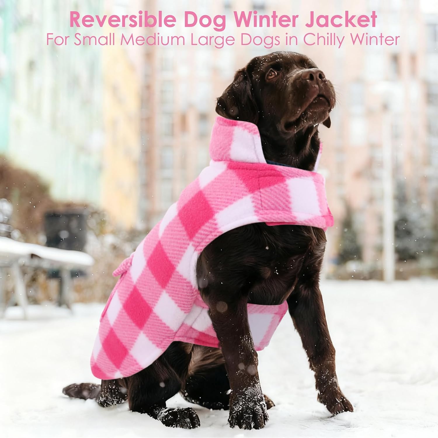 Thumbnail 6 de AOFITEE Dog Coat Size S