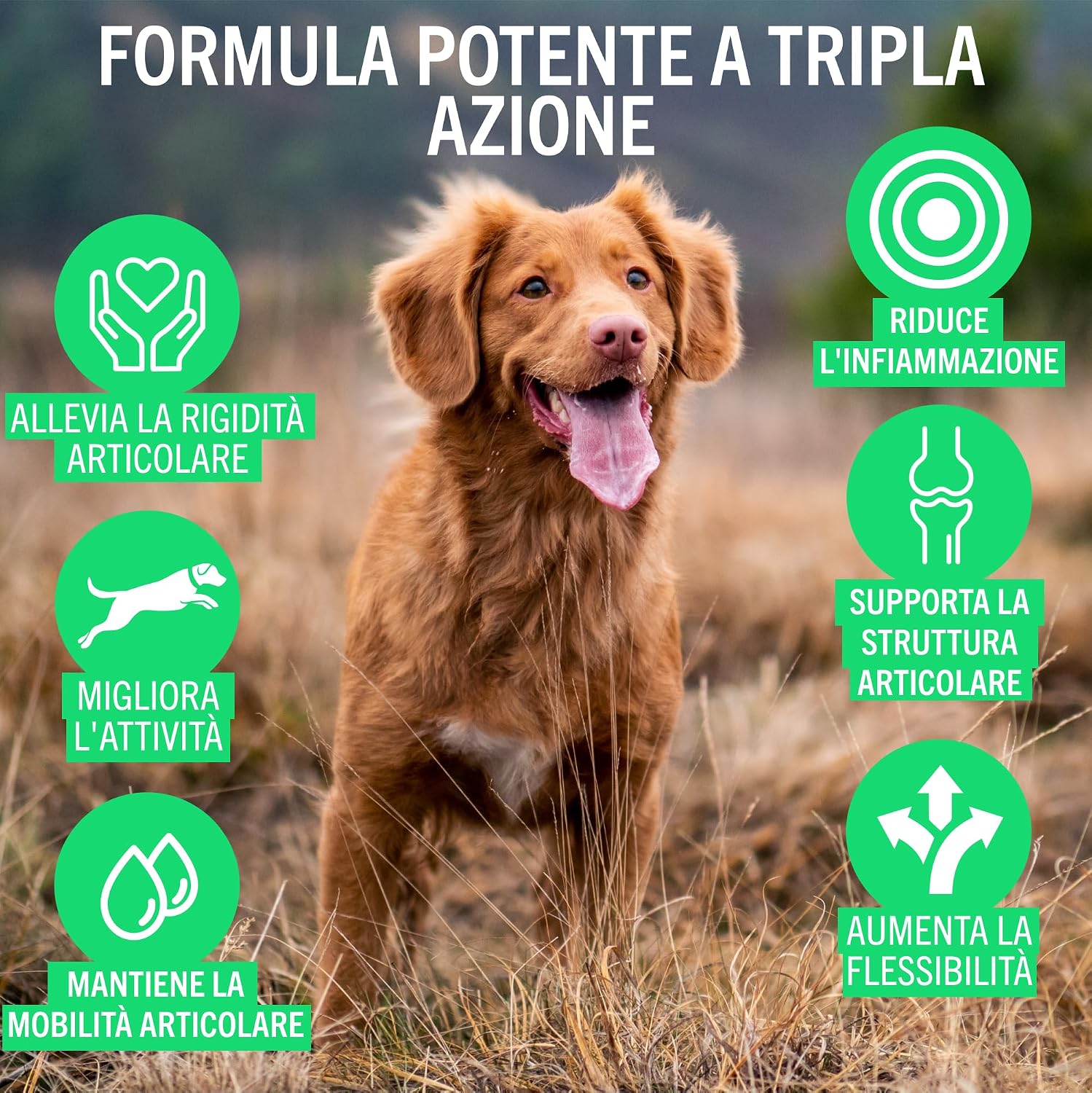 Detalle de JOINTSURE Giovane & Attivo: Integratori per le Articolazioni di Cani e Cuccioli, 300 Compresse