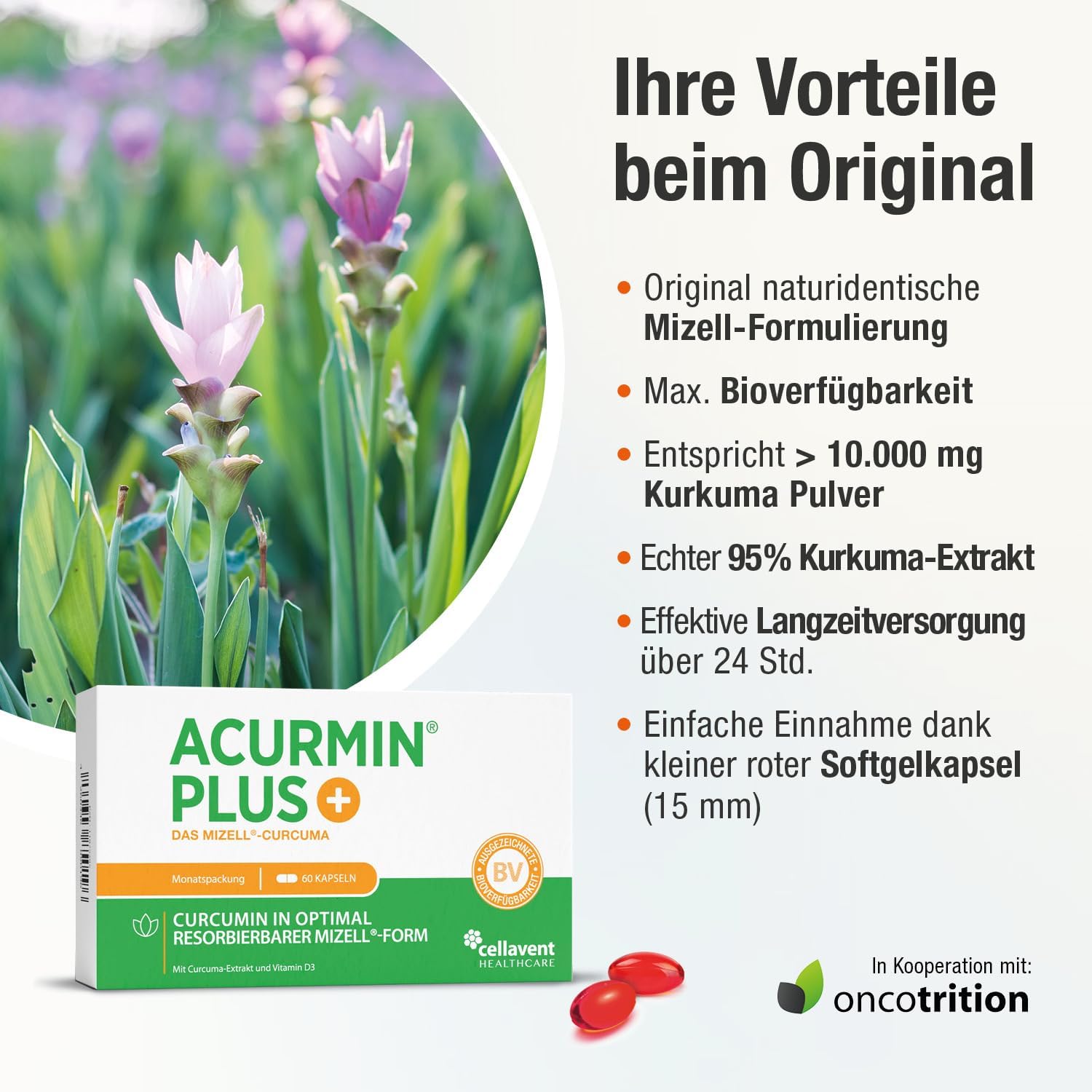 Detalle de ACURMIN PLUS 185x effektivere Kurkuma Kapseln – 60 Softgelkapseln, 95% Curcumin, Mizellen-Technologie, 10.000 mg Kurkuma-Äquivalent/Tag