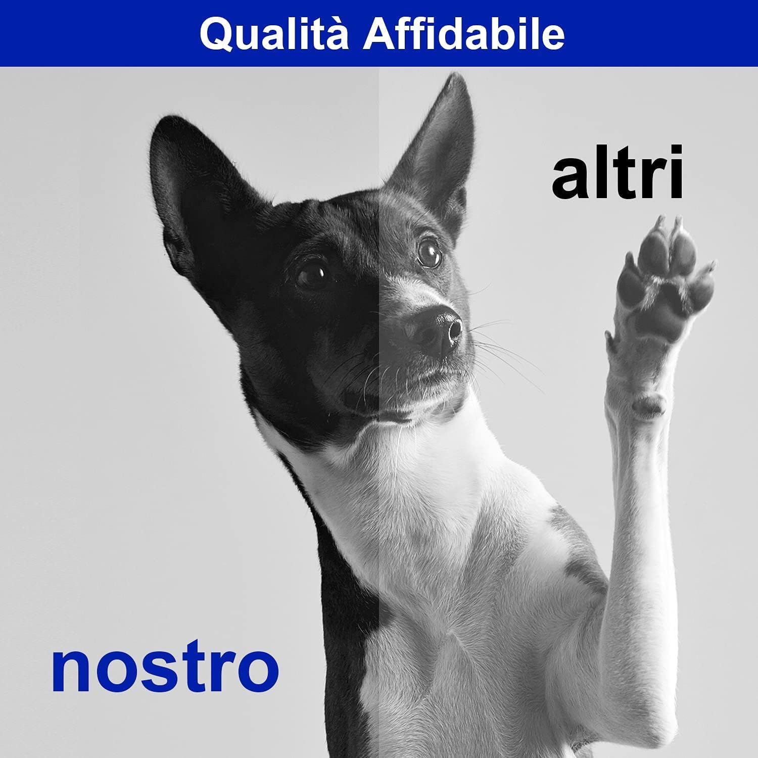 Thumbnail 3 de Koala Cartucce Toner Sostituzione MLT-D101S Nero (Pacco da 2) per Samsung ML/SCX