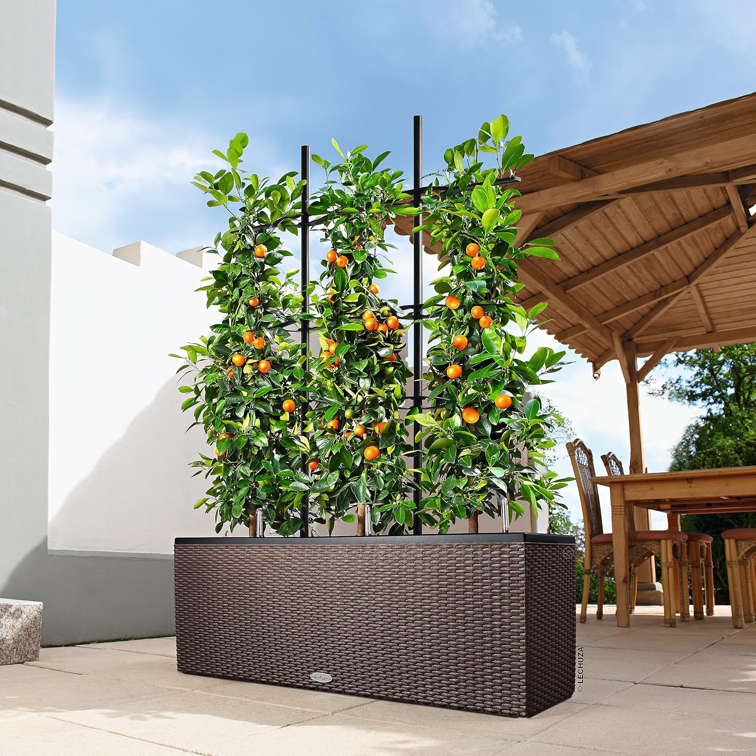 Thumbnail 5 de LECHUZA TRIO Cottage 30 mokka 15005 – All-in-One Pflanzgefäß mit Bewässerungssystem