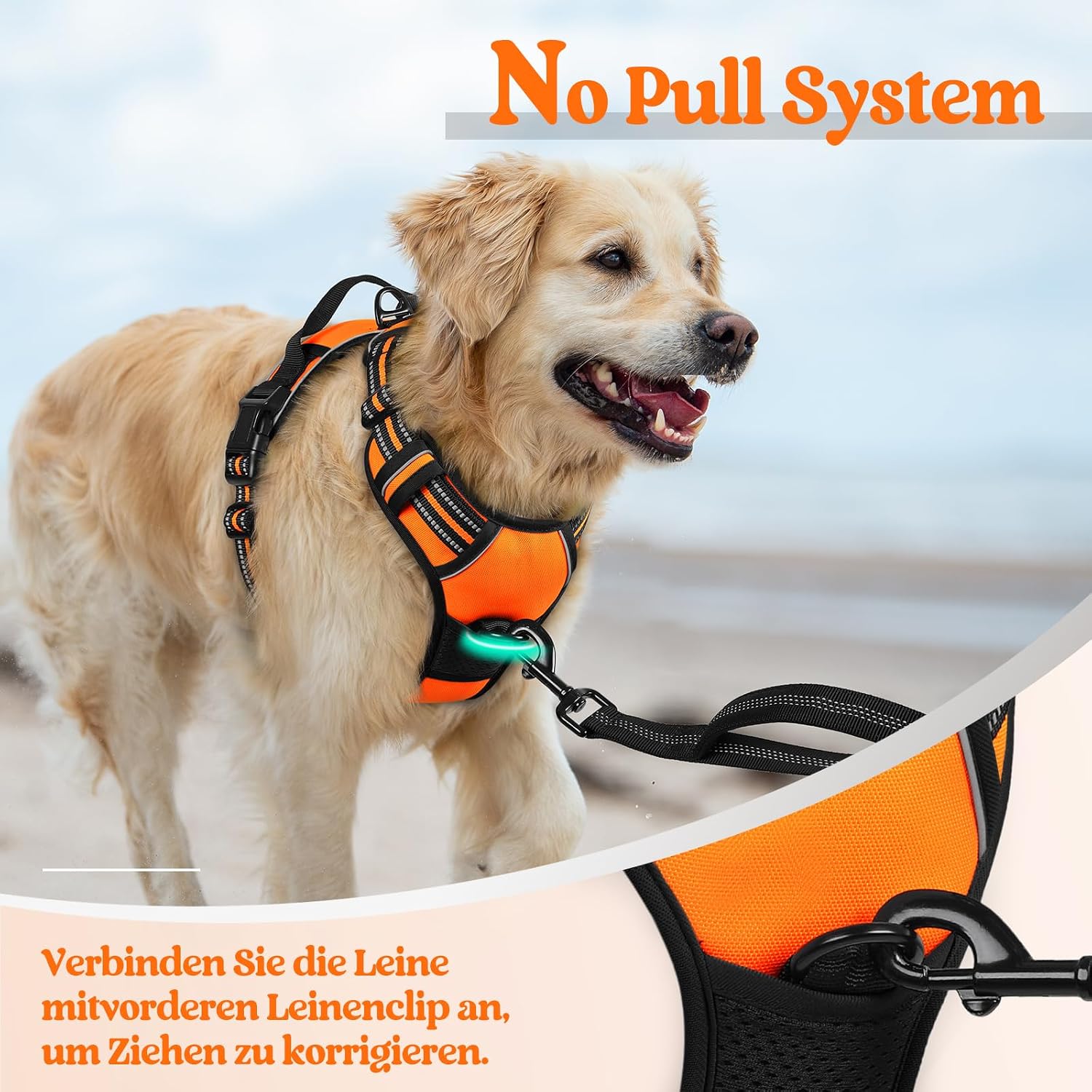 Detalle 2 de rabbitgoo Hundegeschirr Mittelgroße Hunde No Pull, verstellbar mit 2 Ösen und Reflexstreifen (Größe M, Orange)