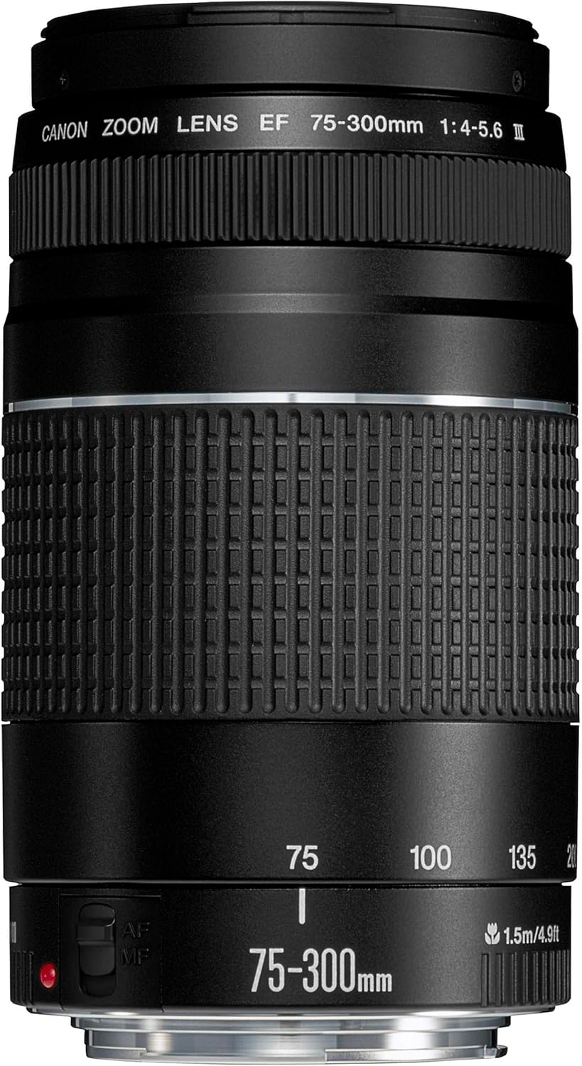 Thumbnail 1 de Canon EF 75-300mm f/4.0-5.6 III lens review: value-for-money telephoto option