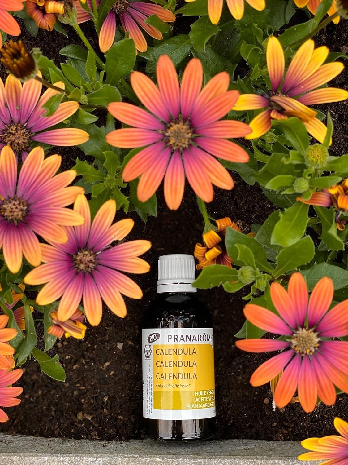 Thumbnail 3 de PRANAROM - Aceite de Nuez de Albaricoque Bio 🌱 50ml