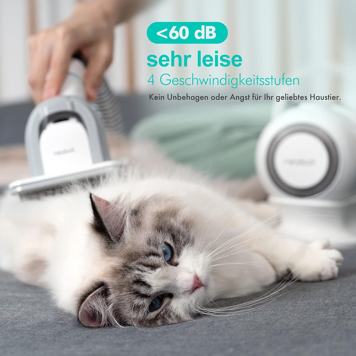 Thumbnail 6 de Neakasa P1 Pro Hundeschermaschine mit Staubsauger – Komplettes Haustierpflegeset