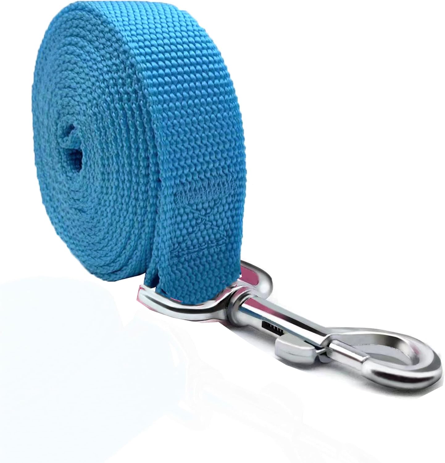 Detalle de TAIAN Nylon Dog Leash, 5 ft