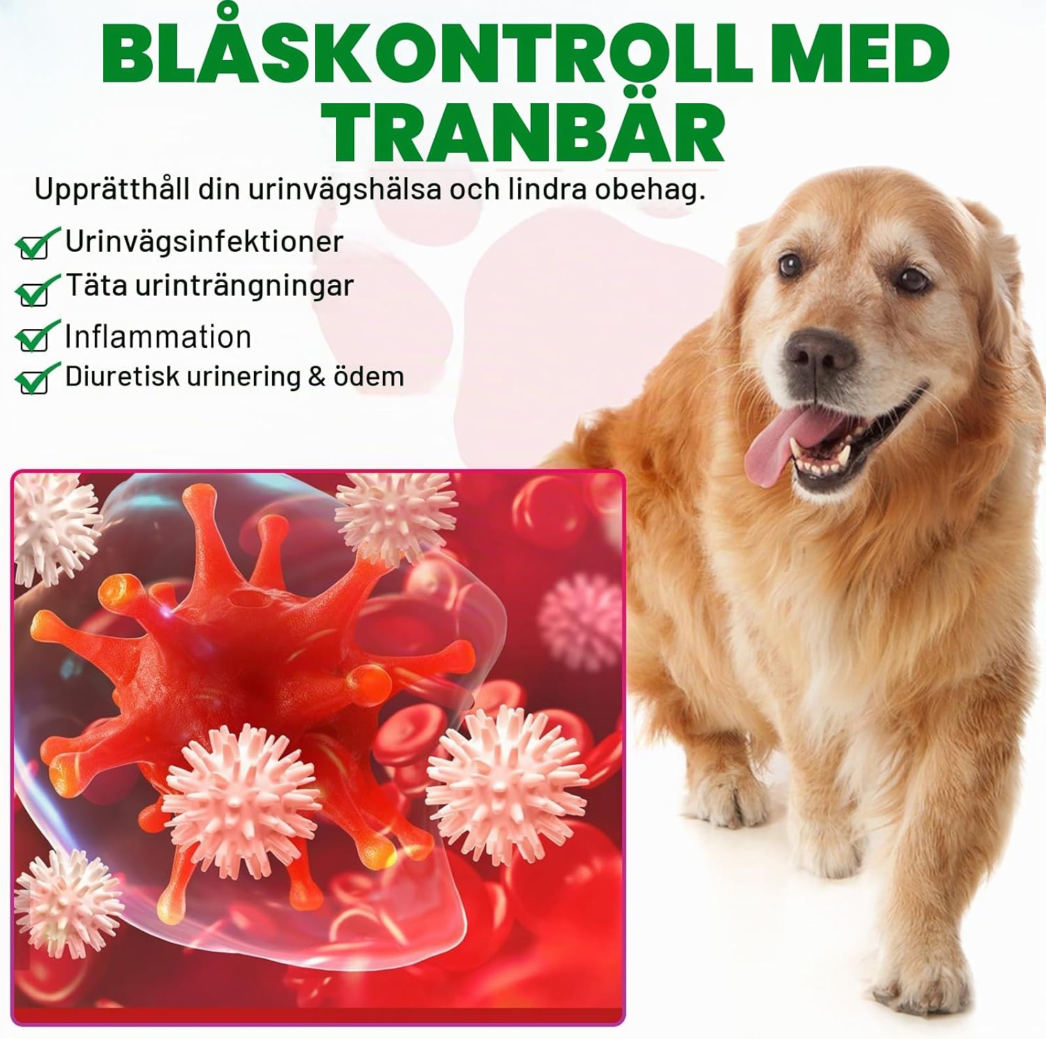 Detalle de RoongDuuDll urindroppar för hund med tranbär, baconsmak och 60 ml