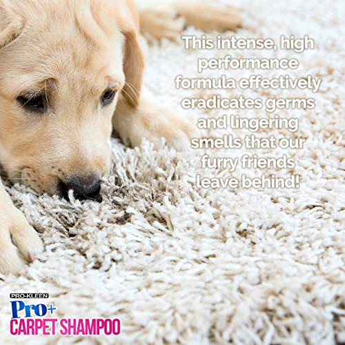 Thumbnail 5 de Pro-Kleen Pro+ Carpet Shampoo and Upholstery Cleaning Solution – 5L Spring Bloom