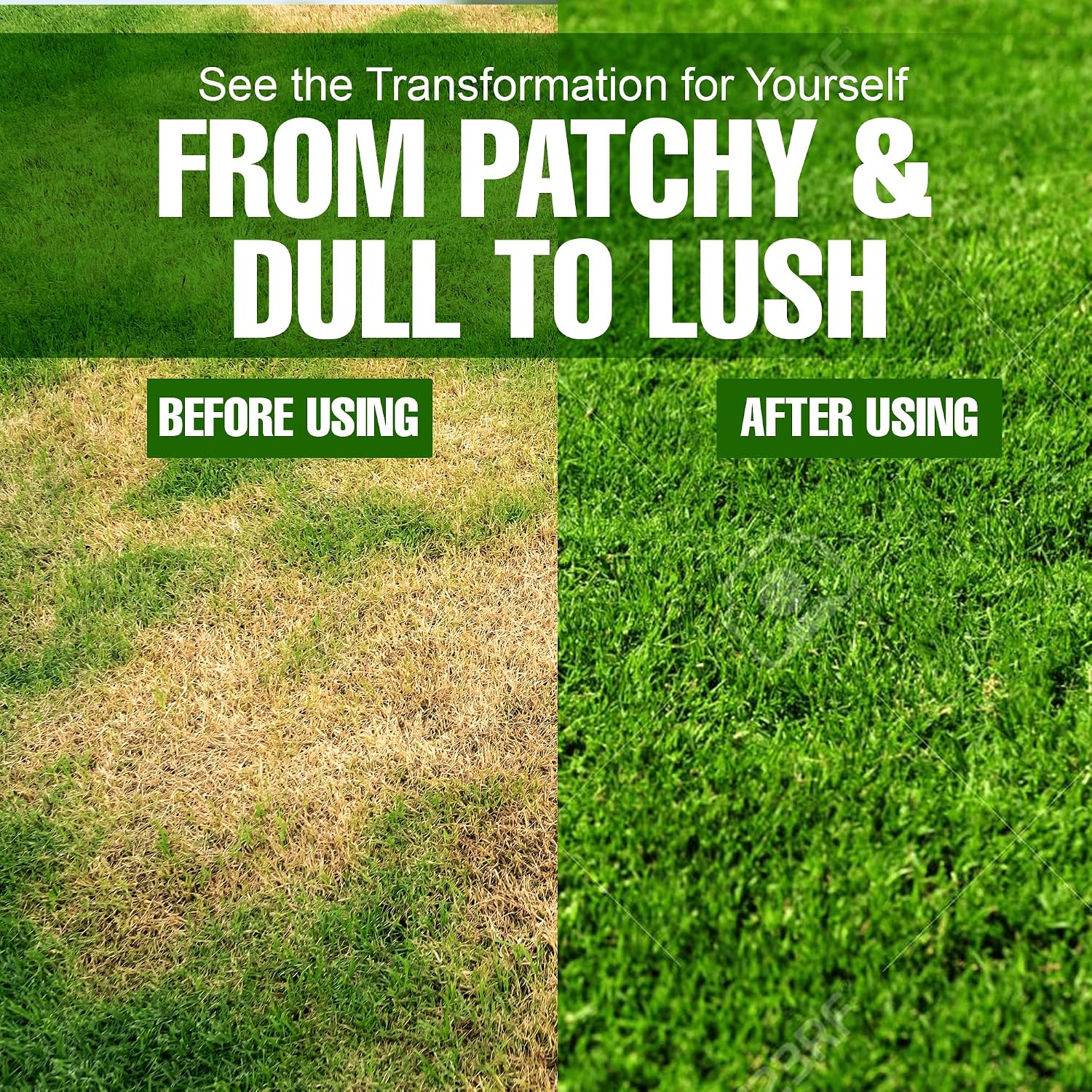 Detalle 1 de Eco Solutions SRGF Slow-Release Lawn Fertilizer, 25-5-10 NPK, Feeds up to 110 Days