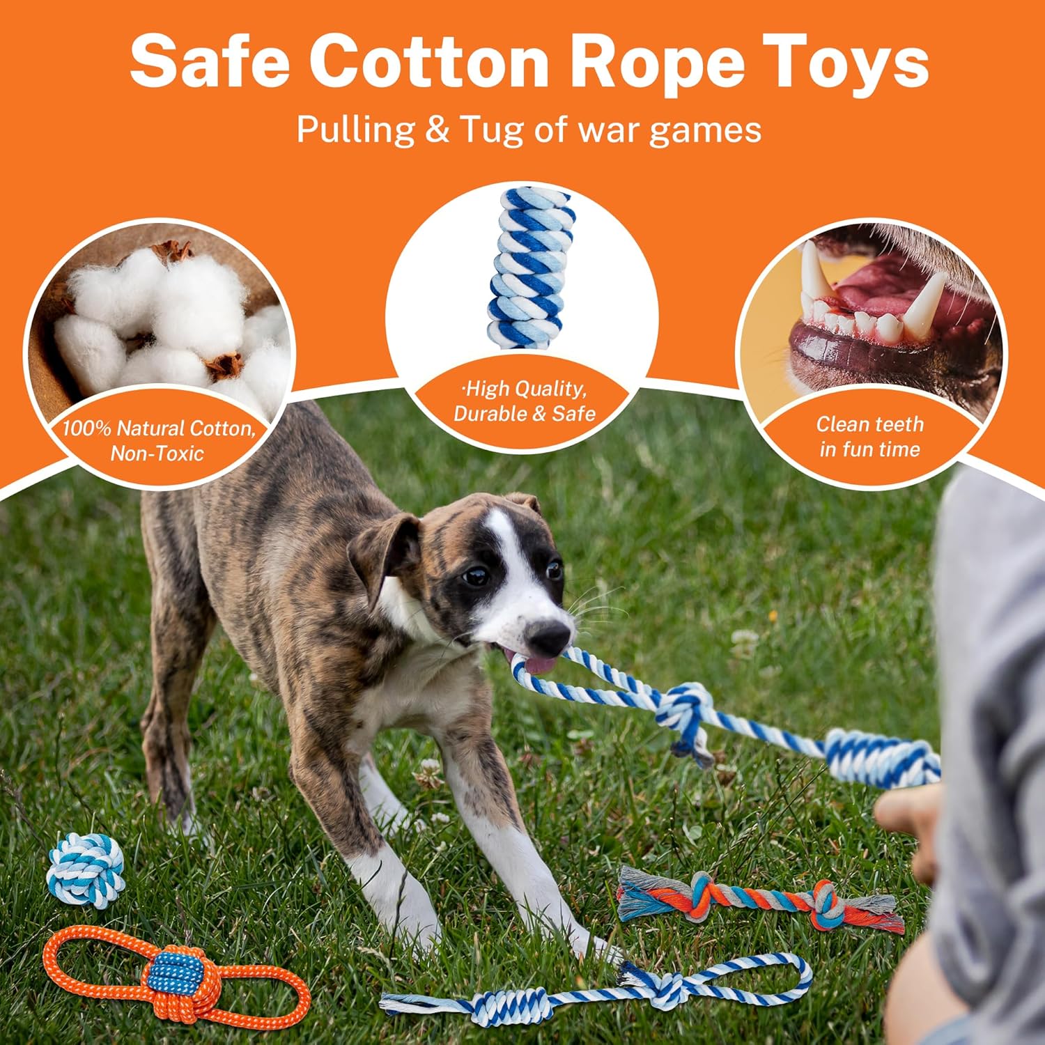 Thumbnail 2 de Toozey Dog Toys for Small Dogs: 8-Pack Durable Chew and Squeaky Rope Toys