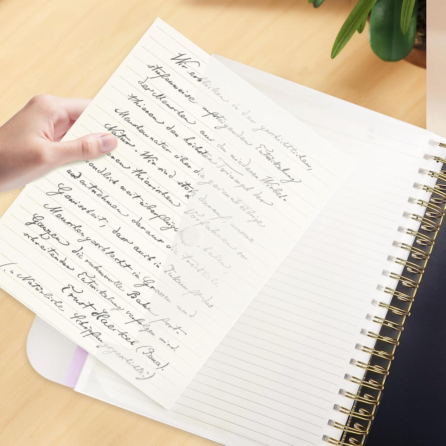 Thumbnail 6 de ReePlan 360 Pages A4 Spiral Notebook with 5 Subject Dividers