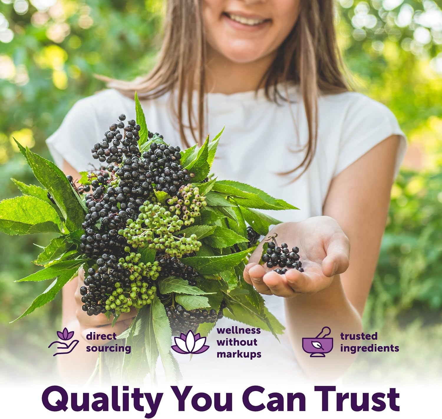 Detalle 1 de Micro Ingredients Elderberry Supplement 360 Softgels