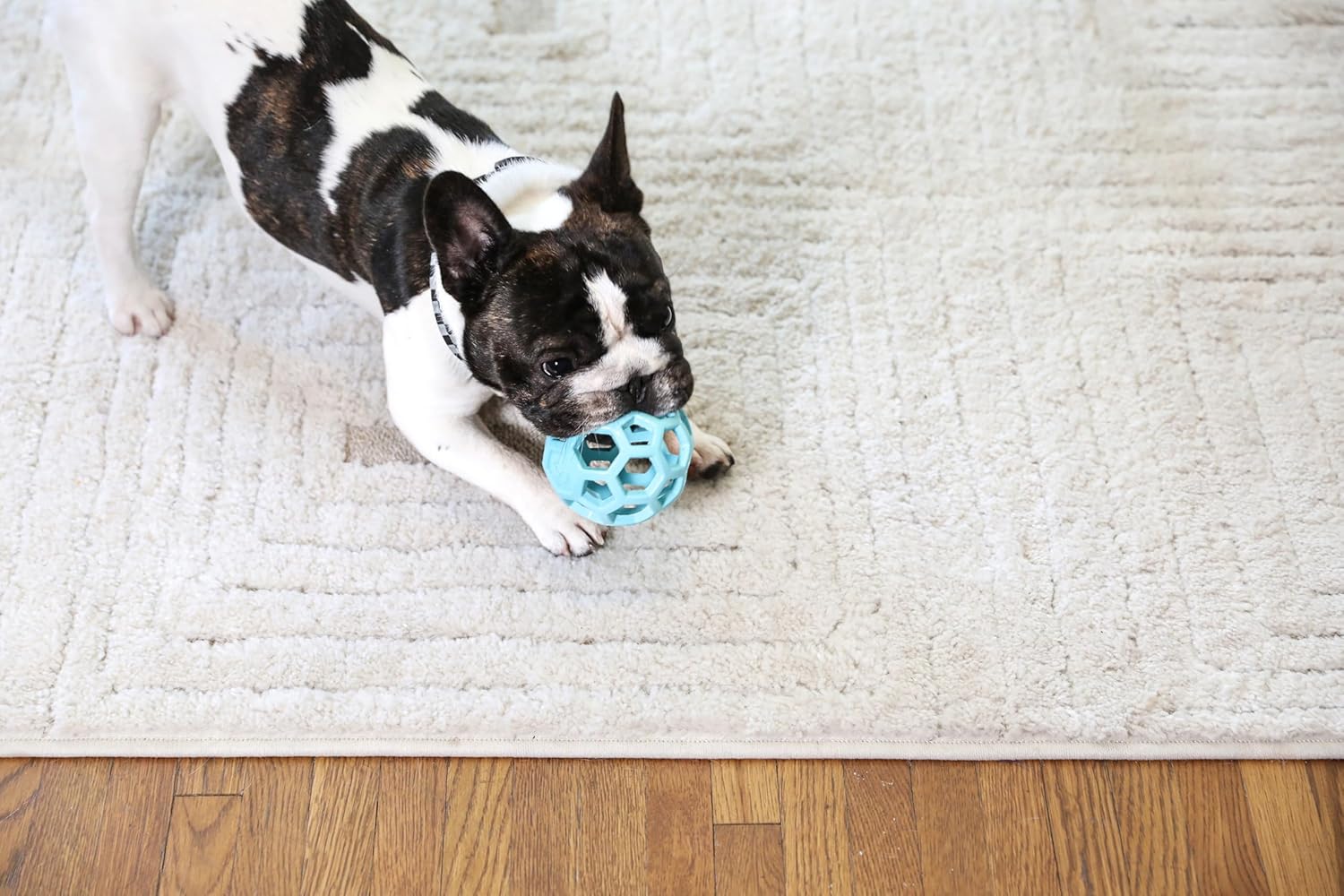 Thumbnail 2 de JW Hol-ee Roller 7.5 cm Small Dog Toy – Fun, Versatile & Durable