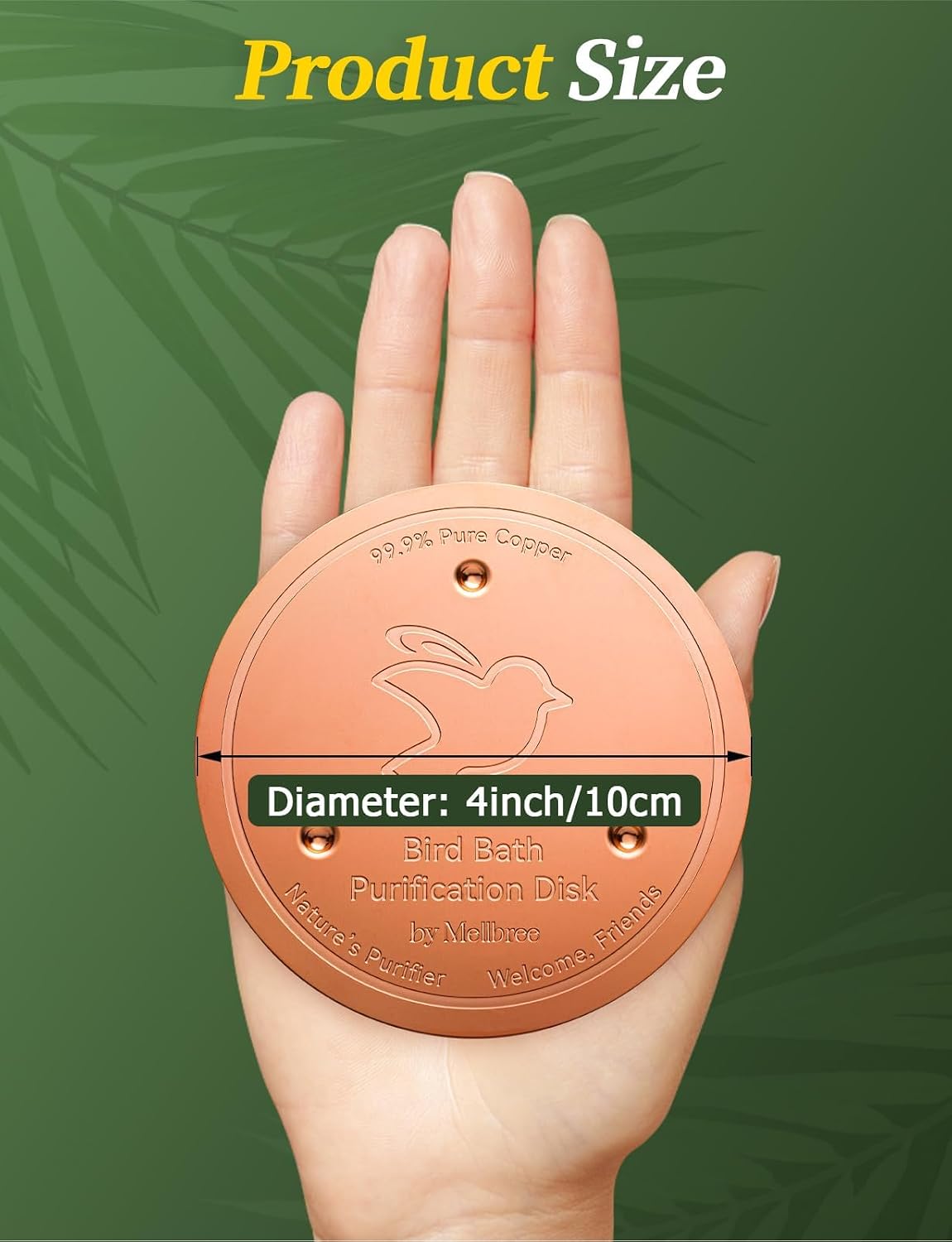 Detalle 2 de Mellbree 2PCS Bird Bath Copper Disk – 99.99% Pure Copper, 0.6mm Thick