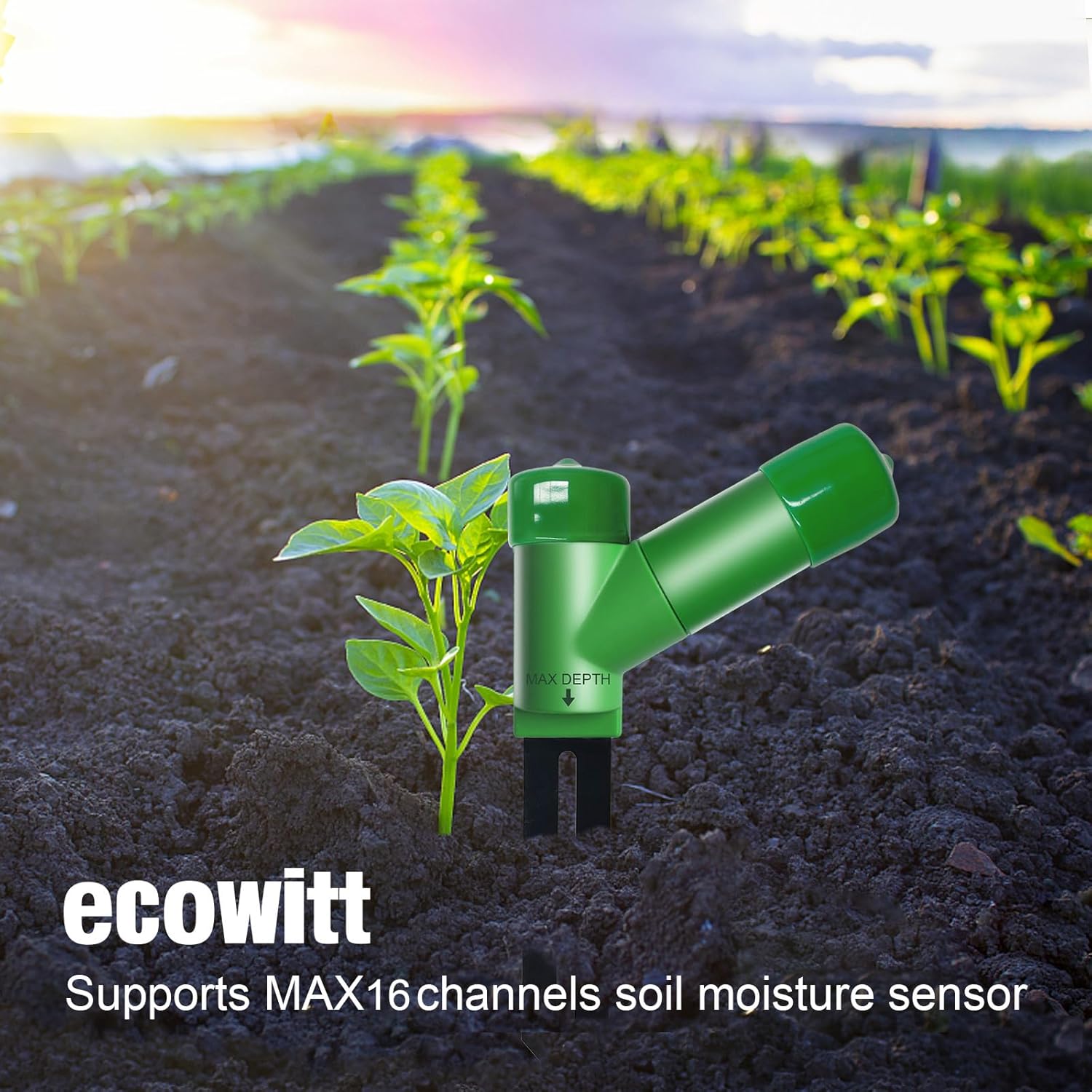 Thumbnail 6 de ECOWITT Bodenfeuchtesensor WH51, 72 Sekunden