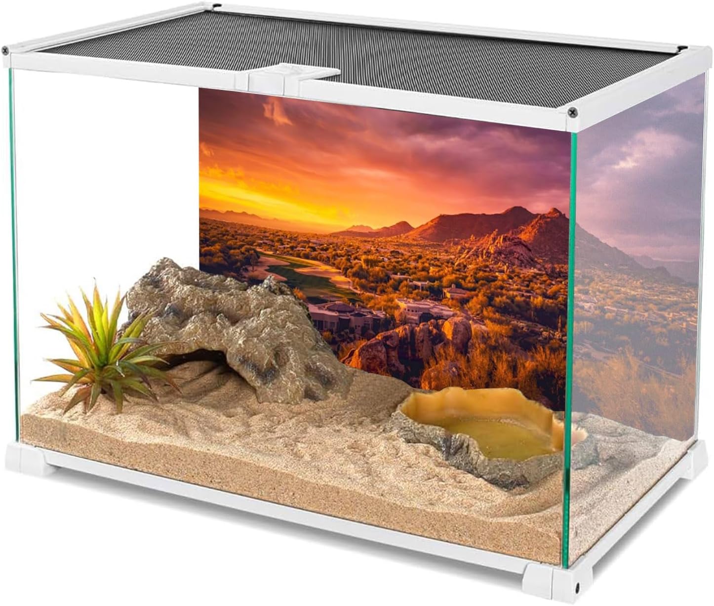 Detalle de AWERT Terrarium Backdrop, 48x20 in