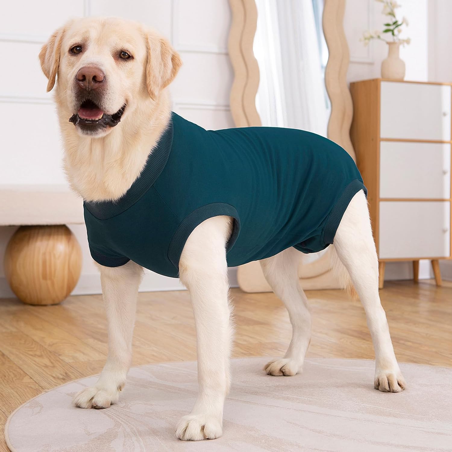 Thumbnail 6 de Axcimond Hundebody nach Op – Leckschutz und Wundschutz fürs Hundebäuchlein, blau, Größe M