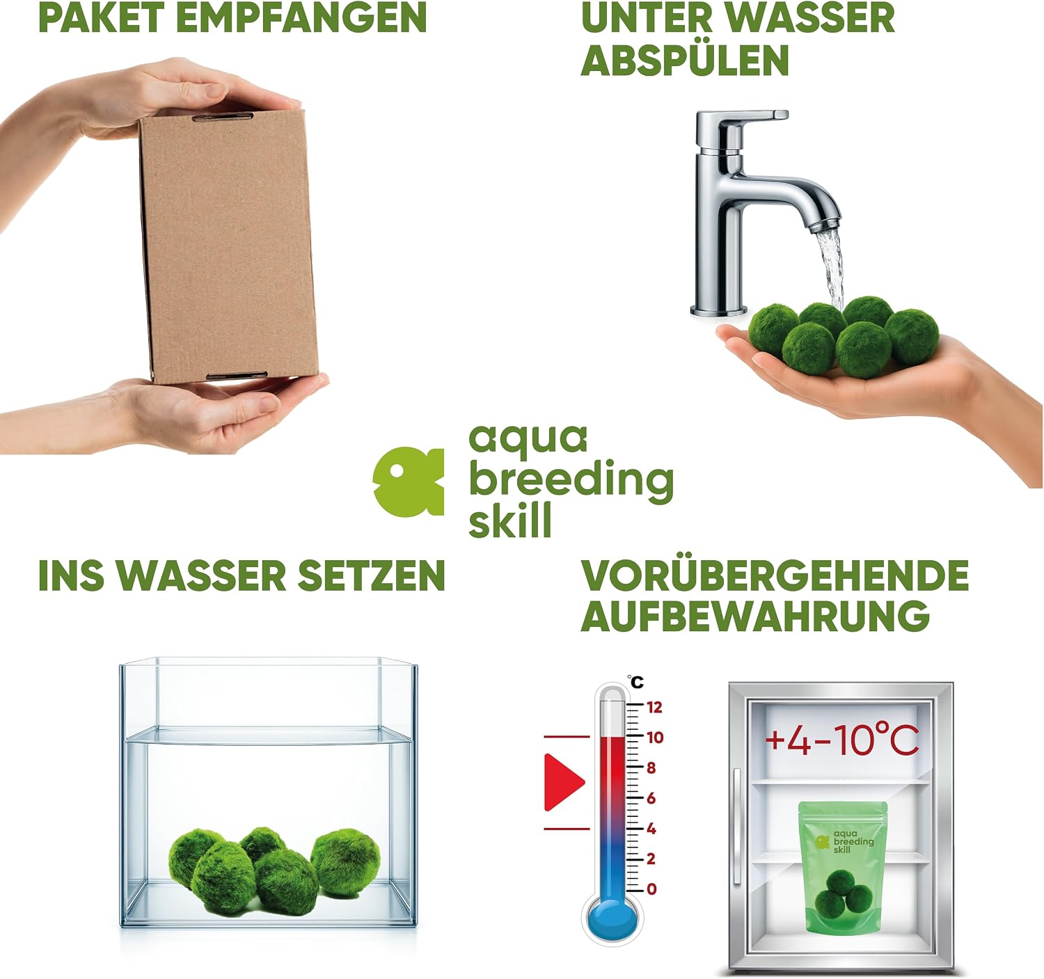Detalle 1 de AquaBreedingSkill – Große Marimo Moosbälle (4–5 cm) im Set aus 3