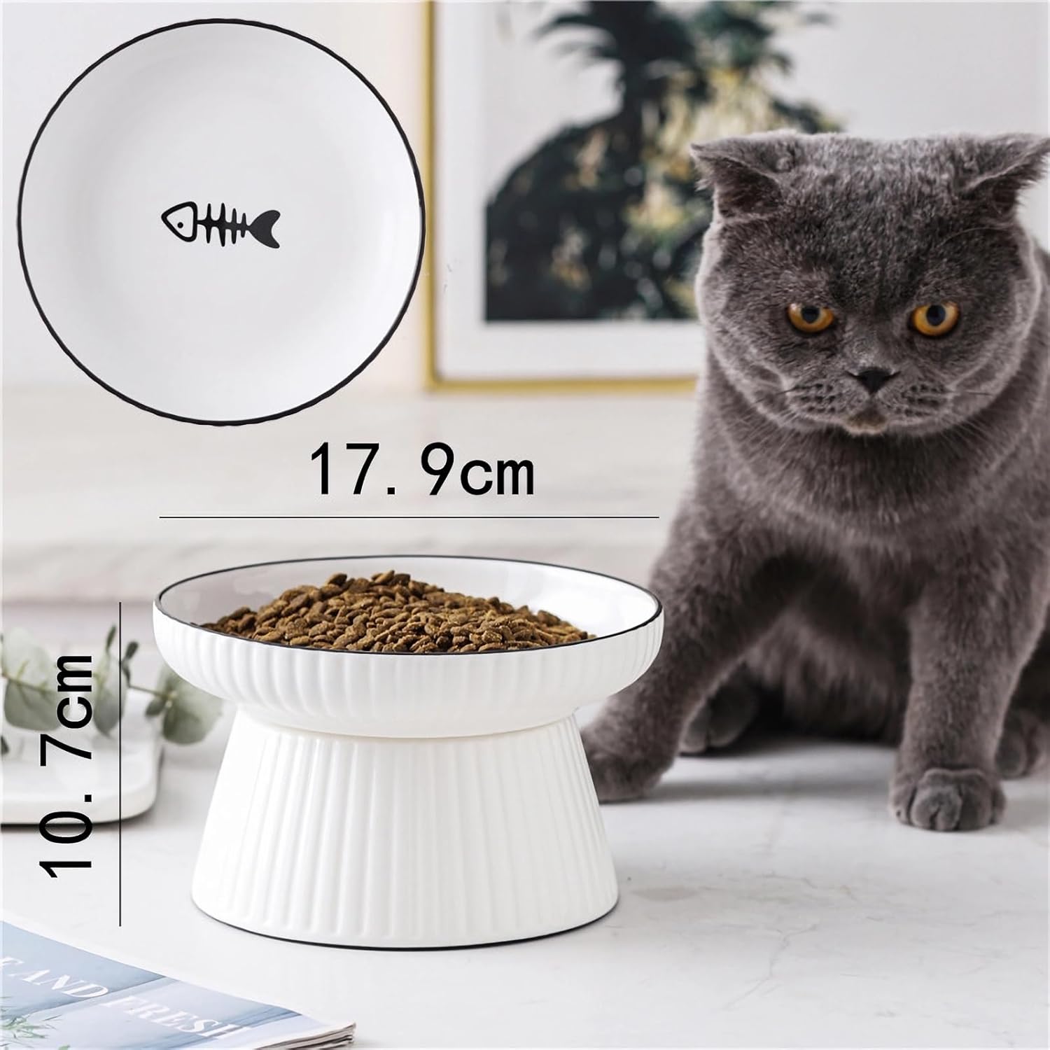 Thumbnail 1 de PlushPlumage Elevated Cat Bowl – raised ceramic anti-vomit dish with non-slip base