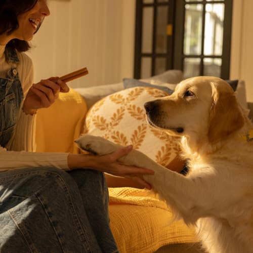 Thumbnail 11 de PEDIGREE DentaStix für mittelgroße Hunde (10–25 kg) — Zahnpflege-Snacks mit Huhn & Rind, 56 Stück