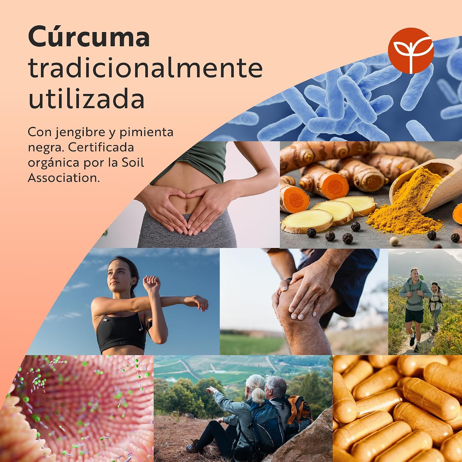 Detalle de Nutravita Cúrcuma Orgánica con Jengibre y Pimienta Negra (extracto de curcumina) – 180 cápsulas veganas