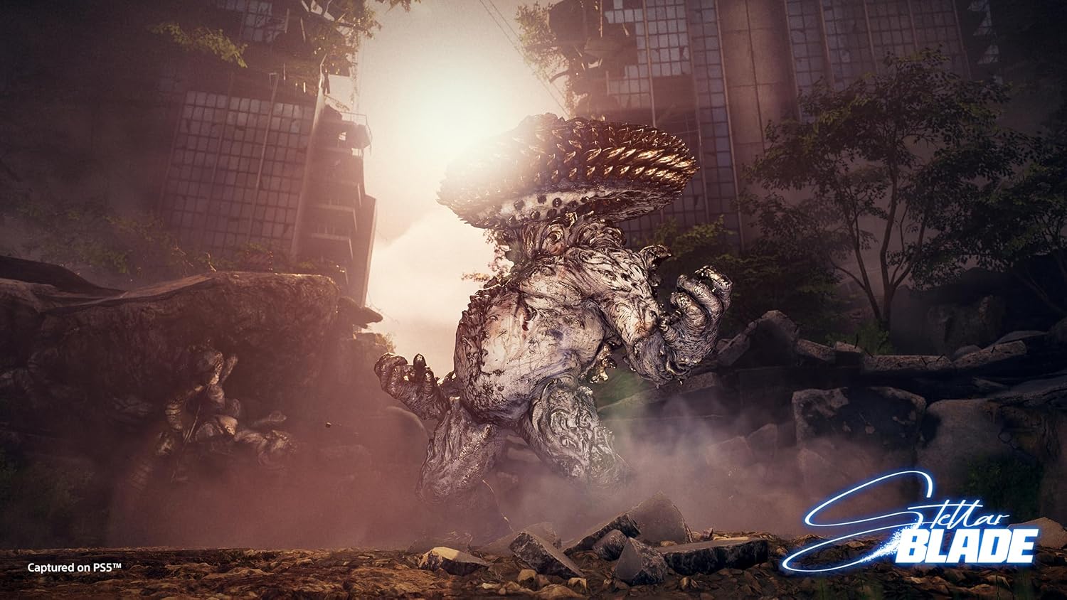 Detalle de Stellar Blade Édition Standard sur PlayStation 5 (PS5) — Sony