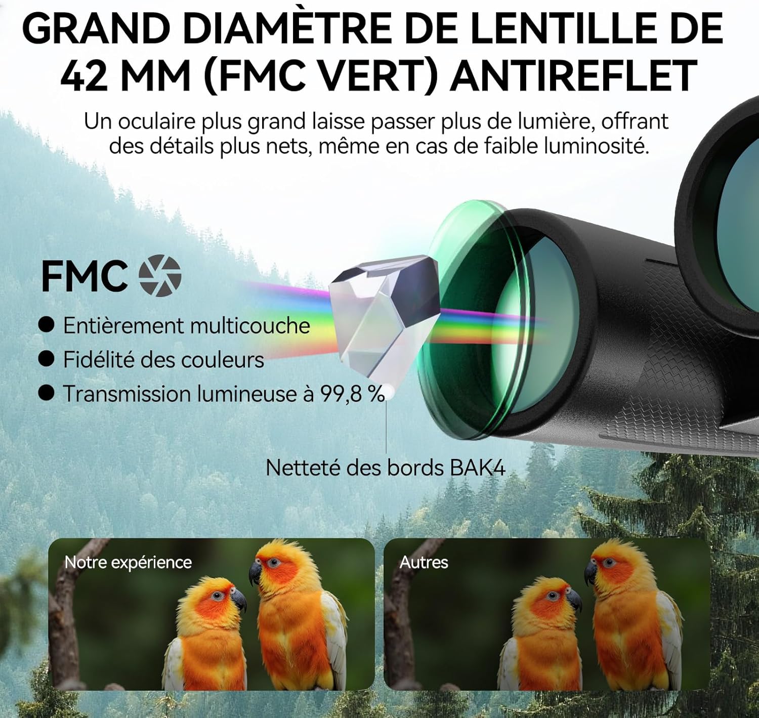 Thumbnail 3 de Jumelles Svbony SV202 Updated ED 10x42 – verres ED, prismes diélectriques et conception étanche