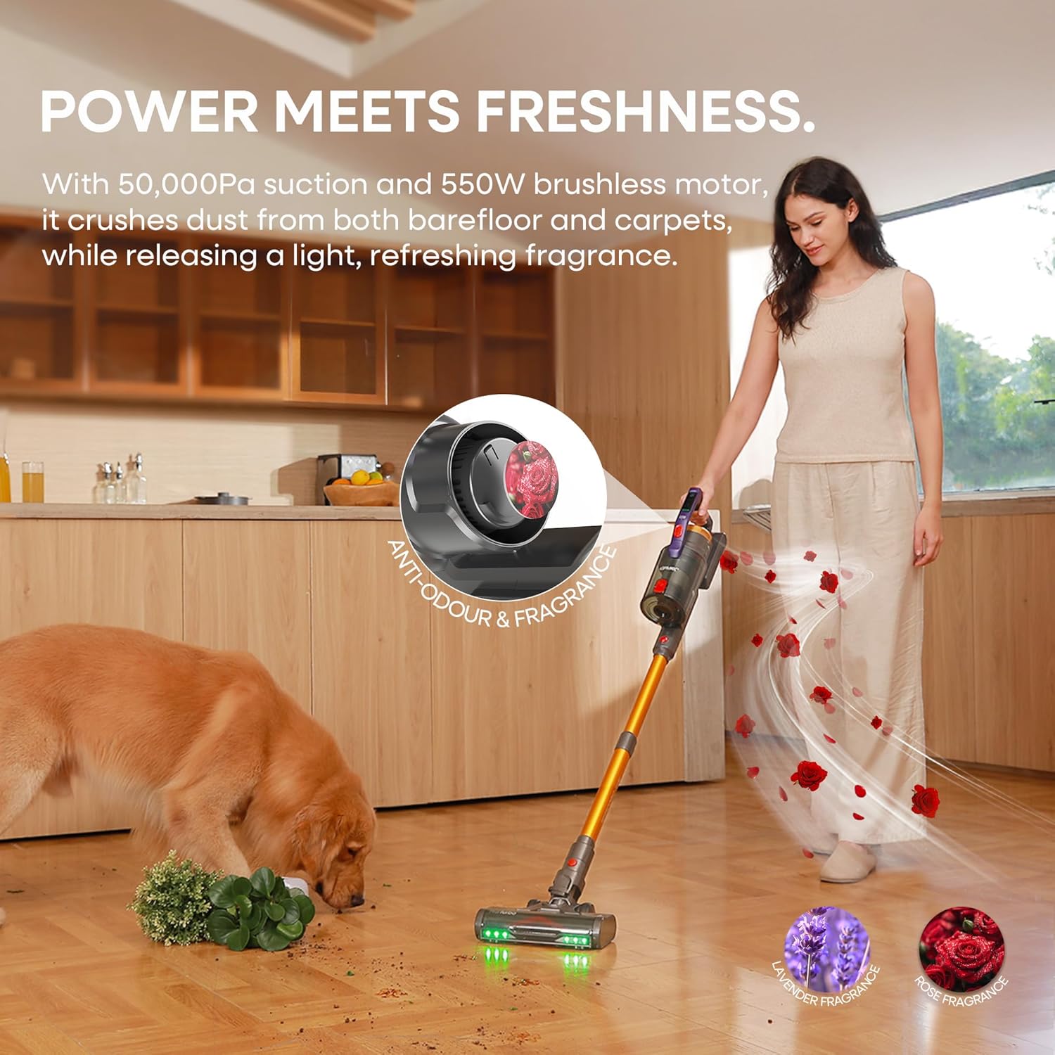 Detalle de X20 Cordless Vacuum Cleaner 70Mins