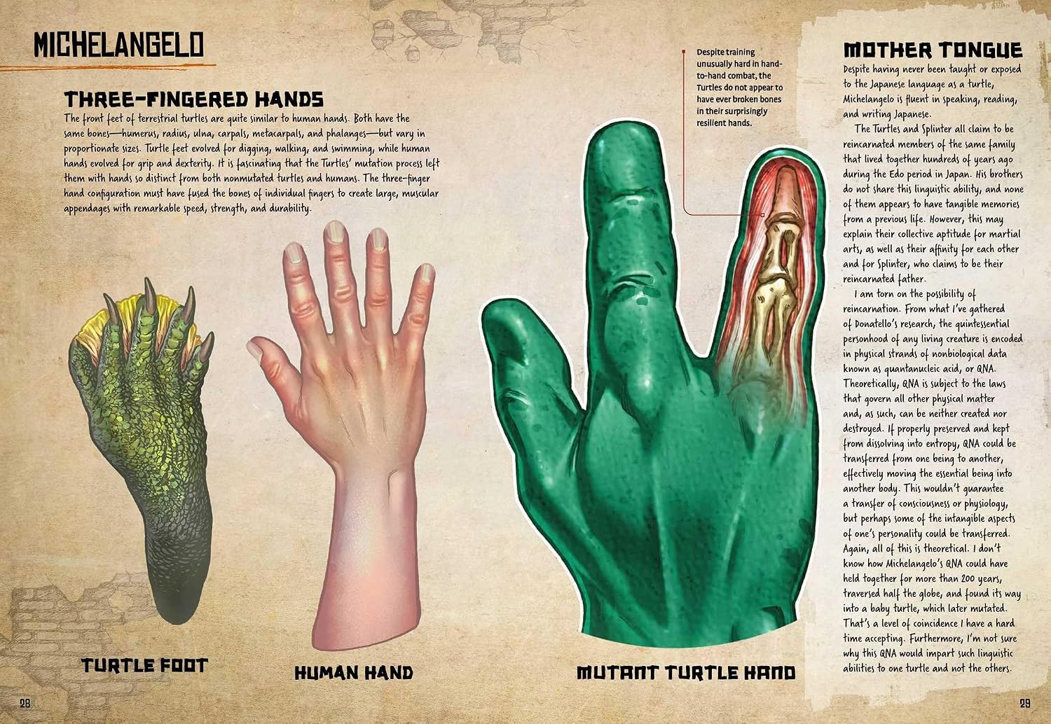 Detalle 1 de Teenage Mutant Ninja Turtles: Anatomy of a Mutant Book