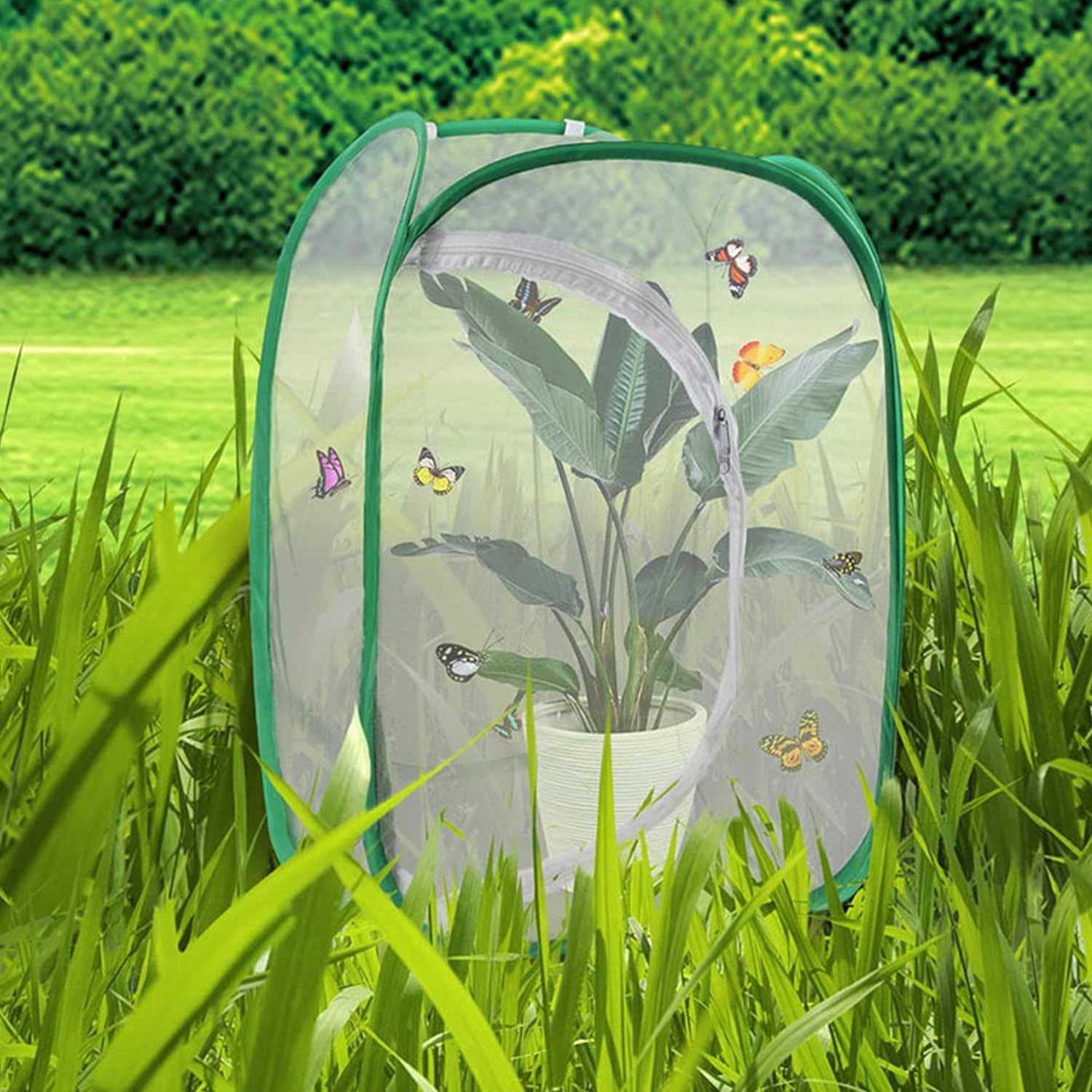 Thumbnail 5 de Butterfly and Insect Habitat Cage by Ompinda: Collapsible, Transparent Pop-up Enclosure for Caterpillars and Flying Insects
