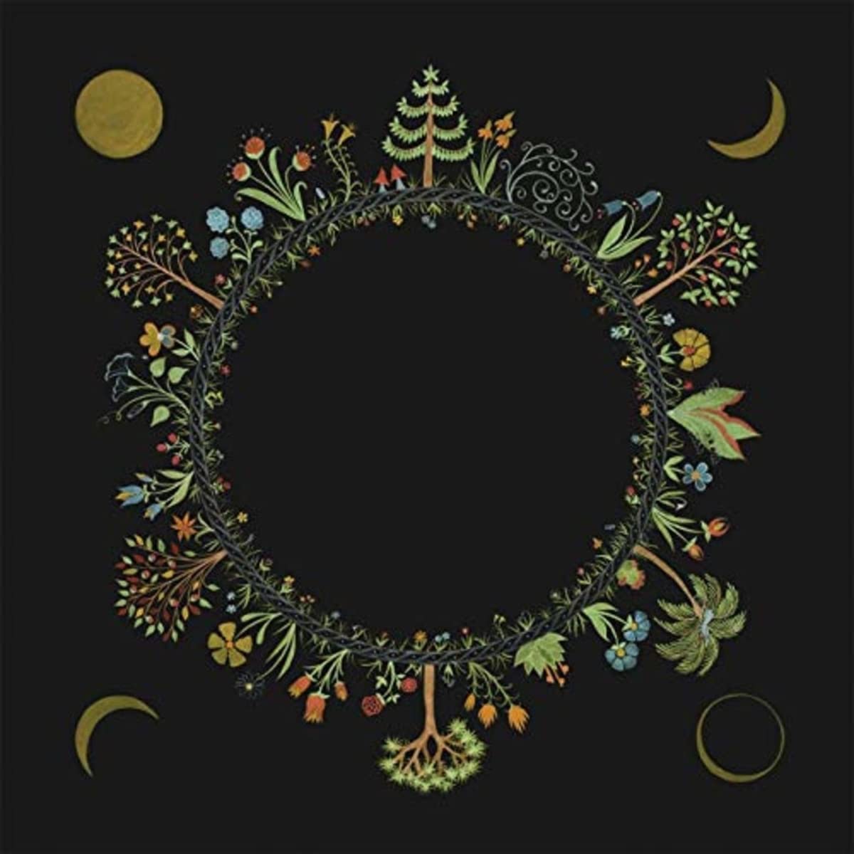 Detalle de Laura Stevenson Wheel LP-DG-068 Vinyl Album with Strings and Brass