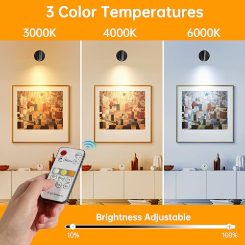 Thumbnail 4 de Dehobo Focos para Interiores con Control Remoto 2 Unidad - 3 Modos de Luz Foco LED Recargable con Temporizador y Ajuste de Brillo - Ajuste Ángulo 350° Ideal para Plantas, Pintura y Obras de Arte