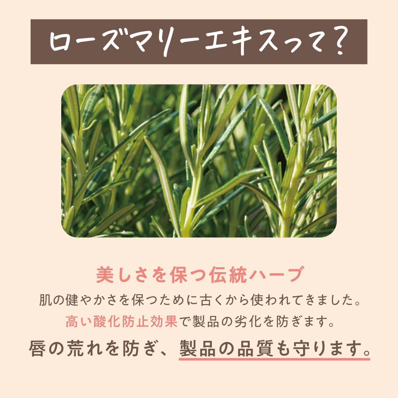 Detalle de daily delight リップバーム プレミアムバニラ 10g 缶入り・濃厚な保湿タイプ