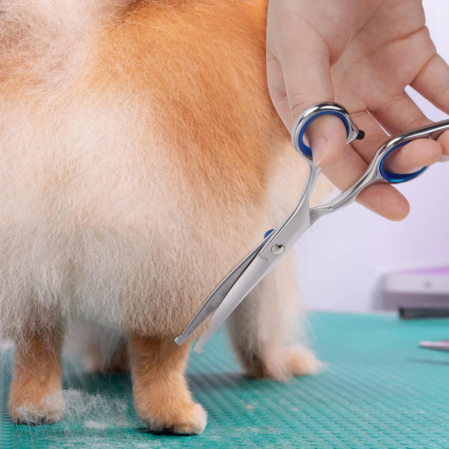 Thumbnail 6 de Dog Grooming Scissors with Safety Round Tip, Pet Dog Cat Curved Grooming Shears Scissors, Stainless Steel Pet Grooming Tools (Silver Down Curved Scissor)
Dog Grooming Scissors with Safety Round Tip, Pet Dog…