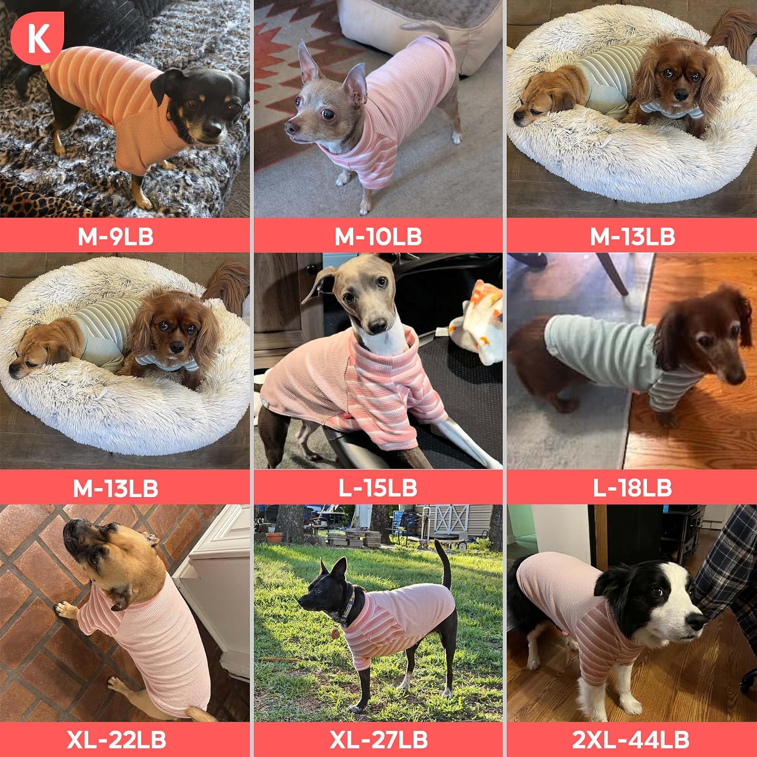 Thumbnail 6 de KYEESE Dog Shirt in Waffle Knit