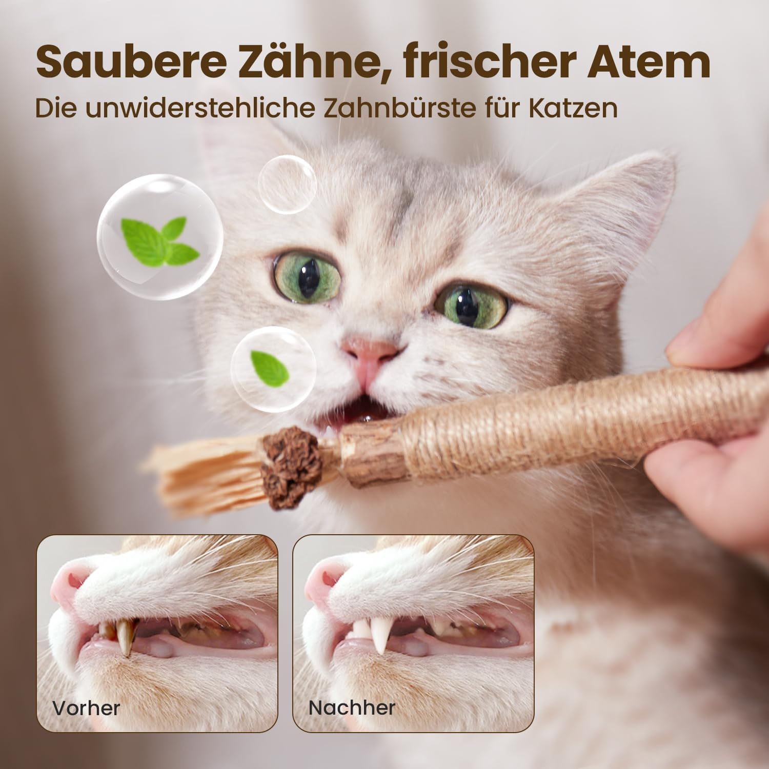 Detalle 2 de Potaroma Katzenminze Sticks 6 Stück 🐾