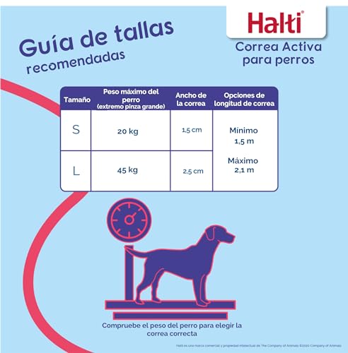 Thumbnail 5 de HALTI Correa Activa talla L, manos libres, reflectante 🐕