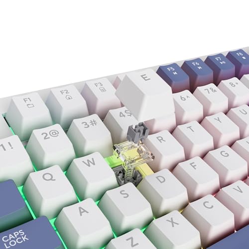 Thumbnail 12 de GXTrust Xyra Teclado Mecánico TKL 80% con Gasket – Blanco, Español QWERTY