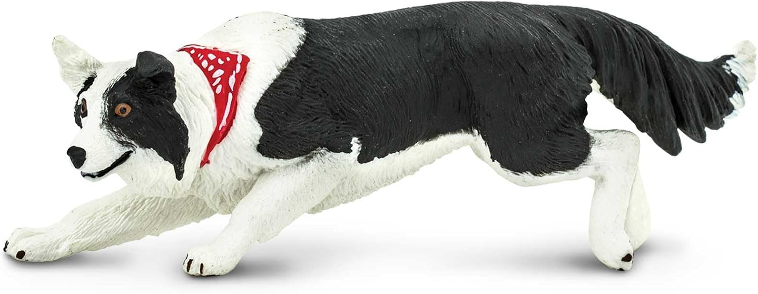 Thumbnail 3 de Safari Ltd Border Collie miniatuurfiguur van kunststof, meerkleurig