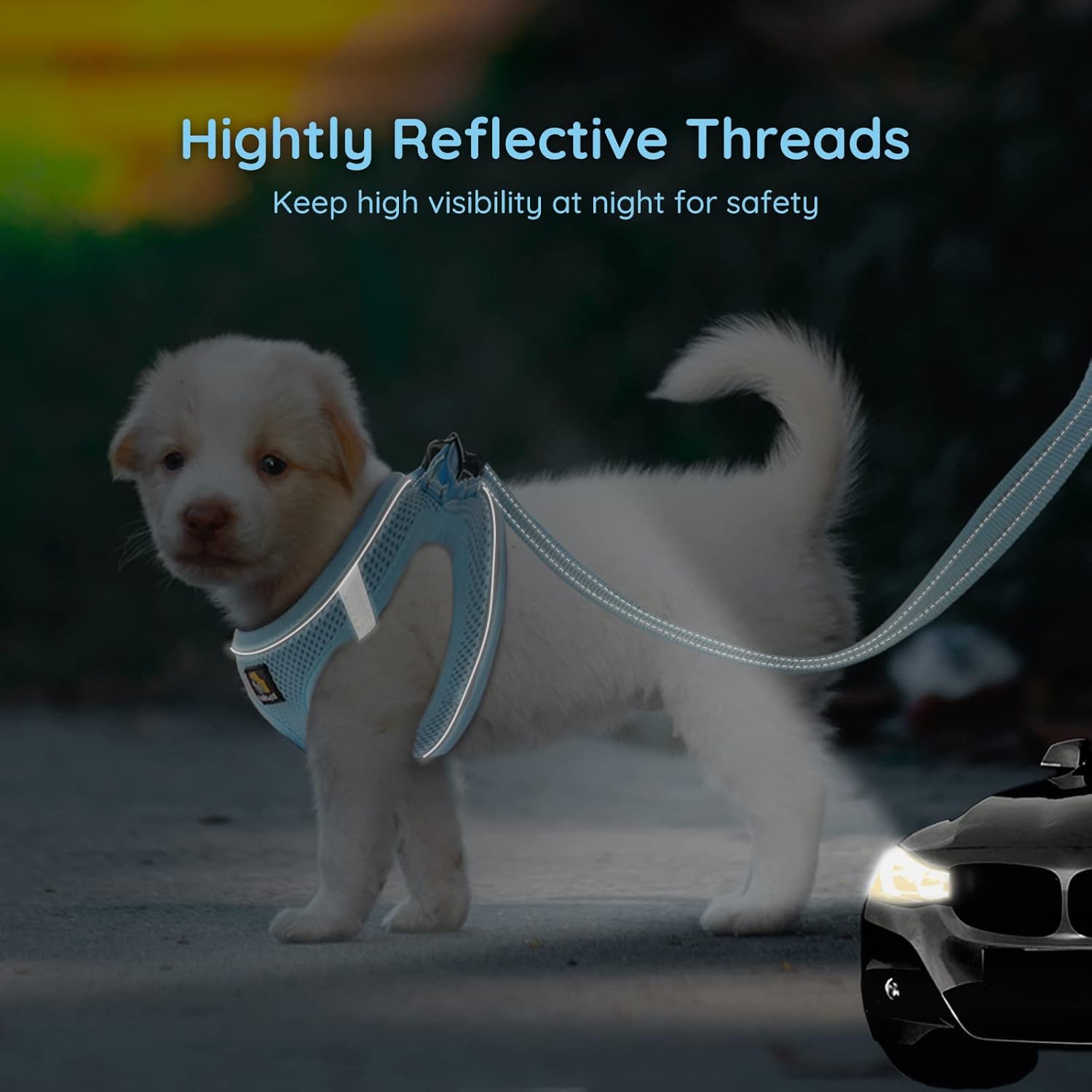 Detalle de BELLA & PAL Step-in Dog Harness and Leash Set (XS) for extra small dogs – Breathable mesh, reflective safety strips
