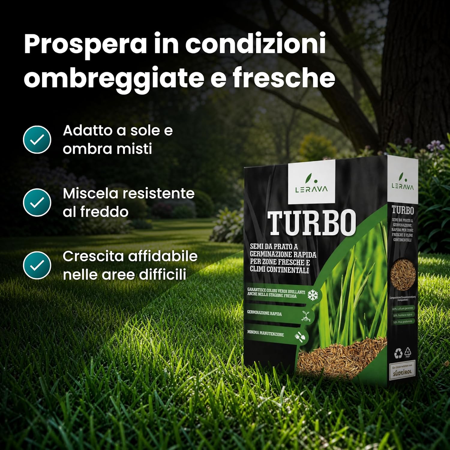 Thumbnail 4 de LERAVA TURBO Semi Loietto Perenne (30 m²) - Prato resistente e rapido, verde brillante